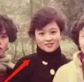 娱乐圈中年吃瓜少女